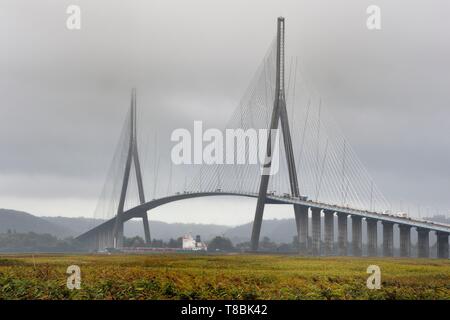 Frankreich, Seine Maritime, Naturpark der Seinemündung und Fracht vorbei unter der Brücke der Normandie in den Wolken, das Schilf Bett in den Vordergrund Stockfoto