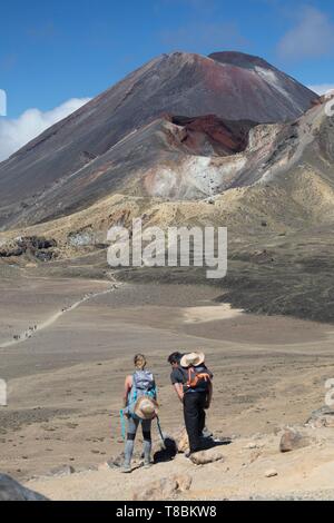 Neuseeland, Nordinsel, Waikato Region, Tongariro Nationalpark, UNESCO-Weltkulturerbe, Wanderer in der Nähe der Vulkane Tongariro, Ngauruhoe Stockfoto