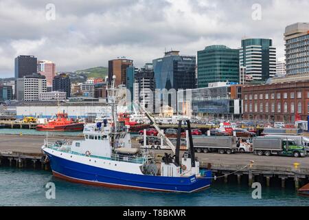 Neuseeland, Nordinsel, Wellington, Wellington, der Hauptstadt von Neuseeland Stockfoto