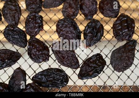 Frankreich, Lot, Belfort de Quercy, Ort La Gaubille, Verines & Freres, Produzent von Agen Pflaumen, Nahaufnahme der Pflaumen nach dem Trocknen Stockfoto