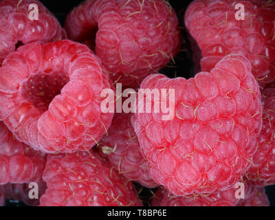 Nahaufnahme der frischen süßen Himbeeren, Hintergrund Stockfoto