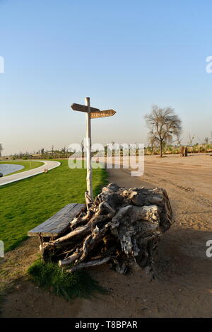 Liebe See bei Al Qudra, See an der Al Qudra Wüste, Dubai, Vereinigte Arabische Emirate Stockfoto