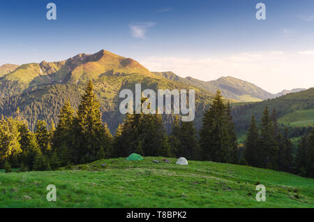 Camping in den Bergen. Zwei touristische Zelte auf einem grünen Hügel. Morgen Landschaft mit Sonne und strahlend blauer Himmel. Tanne Wald auf einem Hügel. Karpaty, Ukrain Stockfoto