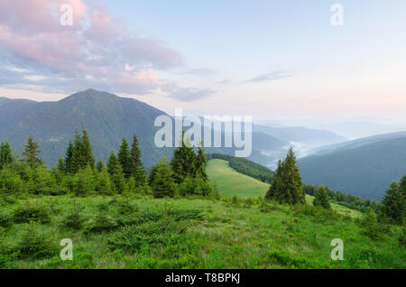 Sommer Landschaft an einem sonnigen Morgen. Wald, in den Bergen. Grüne Gras auf der Wiese. Schönheit in der Natur. Karpaten, Ukraine, Europa Stockfoto