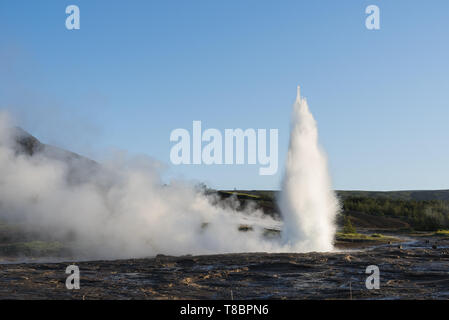 Ausbruch der Geysir Strokkur. Südwestlichen Teil von Island in die geothermale Region. Sonnigen Tag mit strahlend blauem Himmel. Meisterwerke der Natur Stockfoto