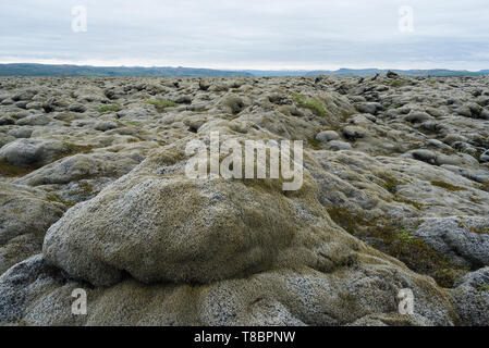 Eine langweilige Landschaft in gedämpften Tönen. Lavafelder mit Moos. Die natürliche Wahrzeichen von Island Stockfoto