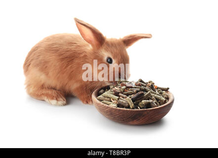 Fluffy bunny Essen von Houten Cute auf weißem Hintergrund Stockfoto