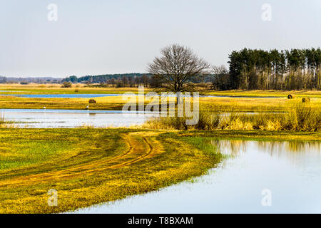 Biebrza Tal (Polen). Biebrza Fluss entlang der Felder und Wiesen laufen Stockfoto