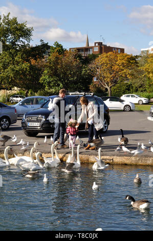 Paar mit Kind Fütterung Vögel an Poole Park, Poole, Dorset Stockfoto