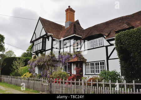 Wisteria auf ein Fachwerkhaus in der New Forest Stockfoto