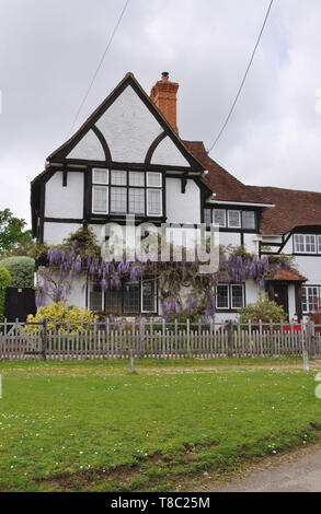 Wisteria auf ein Fachwerkhaus in der New Forest Stockfoto