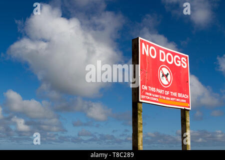 Keine Hunde erlaubt auf diesem Teil der Strand Schilder an der Küste in Southport, Merseyside errichtet. Stockfoto