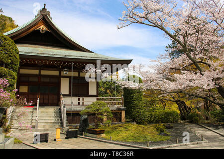 Hokokuji Tempel (Take-dera Tempel) ist eine alte buddhistische Tempel und das bekannteste Reiseziel in Kamakura, Japan. Stockfoto