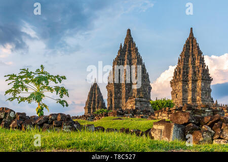 Prambanan oder Rara Jonggrang, Hindu Tempel, der Region Yogyakarta, Java, Indonesien Stockfoto
