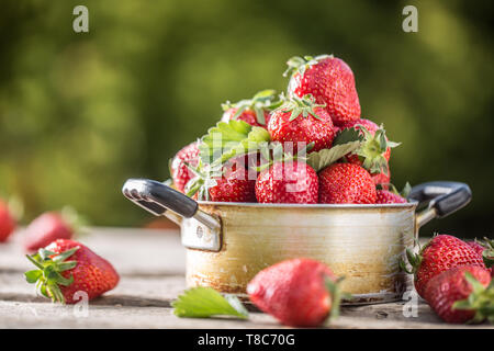 Frische reife Erdbeeren in vintage Küche Topf auf alten Garten Tisch Stockfoto