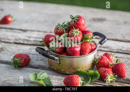 Frische reife Erdbeeren in vintage Küche Topf auf alten Garten Tisch Stockfoto
