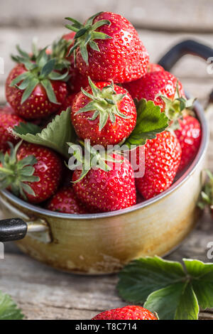 Frische reife Erdbeeren in vintage Küche Topf auf alten Garten Tisch Stockfoto