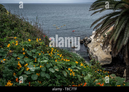 Zur vollständigen Anzeige entlang der Küste von Kalifornien in San Diego USA Frühling Stockfoto