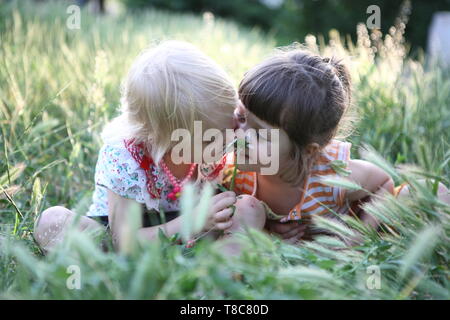 Zwei kleine Mädchen sniffing Daisy in einem Feld Stockfoto