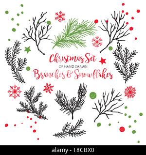 Hand gezeichnet Tanne Zeder, Nadelholz Filialen. Weihnachten Winter Pflanzen für die Dekoration. Vektor isoliert xmas Design Elemente. Stock Vektor