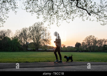 Eine Frau geht ihren Welpen in einem Londoner Park in der Dämmerung Stockfoto