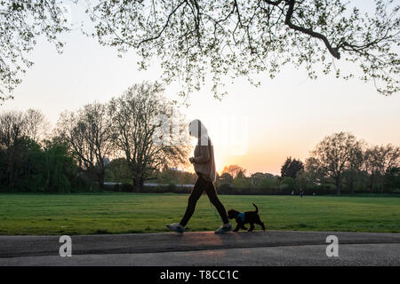 Eine Frau trägt Ihr jungen Welpen in einem Londoner Park Stockfoto