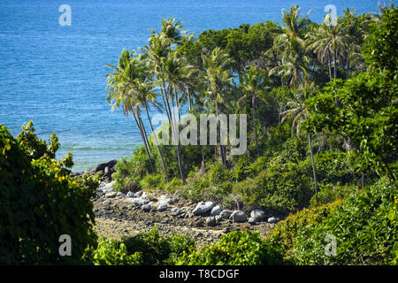 Einen atemberaubenden Blick auf einen wunderschönen tropischen Wald mit Palmen und türkisfarbenes Meer an einem sonnigen Tag in Phuket, Thailand. Stockfoto