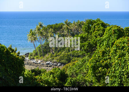 Einen atemberaubenden Blick auf einen wunderschönen tropischen Wald mit Palmen und türkisfarbenes Meer an einem sonnigen Tag in Phuket, Thailand. Stockfoto