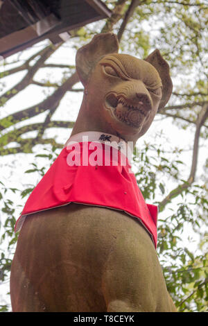 Low Angle View der Statue der Füchse (kitsune) Gott inari, trug einen roten Latz, symbolisiert Fruchtbarkeit und Leben, ein Shinto Schrein in Kyoto, Japan. Stockfoto