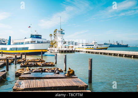 Schöne Aussicht auf das historische Pier 39 mit berühmten Seelöwen im Sommer, Fisherman's Wharf, San Francisco, Kalifornien, USA Stockfoto