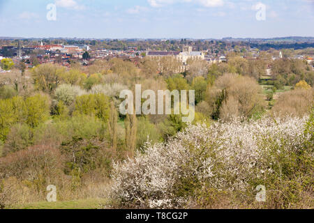 Hohe Sicht von Winchester in Hampshire und seine Kathedrale von St Catherines Hügel auf einem hellen, sonnigen Frühling Tag genommen Stockfoto