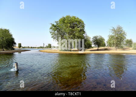 Landschaft von Al qudra Seen am Tag, Dubai, Vereinigte Arabische Emirate Stockfoto