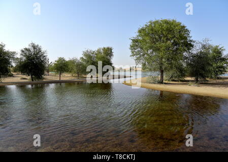 Landschaft von Al qudra Seen am Tag, Dubai, Vereinigte Arabische Emirate Stockfoto