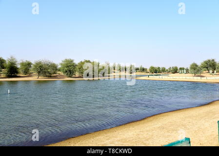 Landschaft von Al qudra Seen am Tag, Dubai, Vereinigte Arabische Emirate Stockfoto