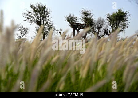 Liebe See bei Al Qudra, See an der Al Qudra Wüste, Dubai, Vereinigte Arabische Emirate Stockfoto