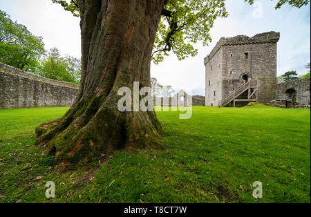 Lochleven Castle am Loch Leven in Perth and Kinross, Schottland, Großbritannien Stockfoto