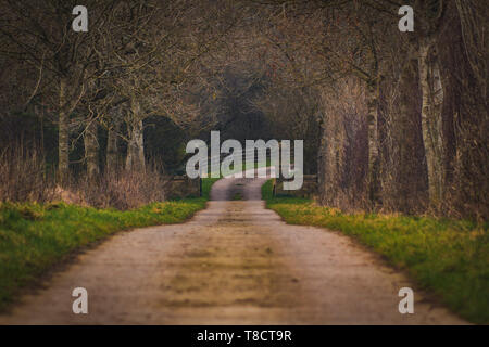 lange Straße Stockfoto