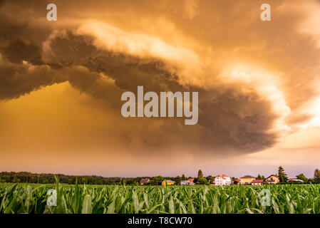 Panoramablick auf eine erschreckende dunkle Gewitter nähert sich kleines Dorf. Fließende über maisfelder. Stockfoto