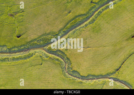 Luftaufnahme der Weiden Umgebung Le Mont Saint Michel. Normandie, Manche, Avranches, Bréville-sur-Mer, Frankreich, Westeuropa. Stockfoto