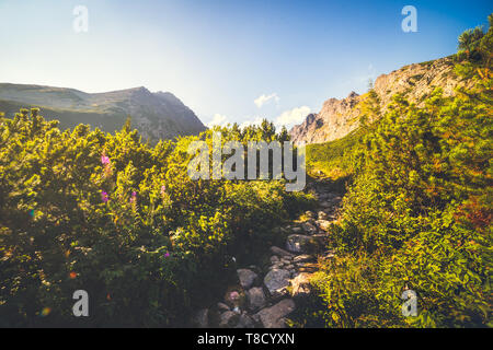 Berglandschaft. Auf dem Weg zur Gerlachovsky Spitze in der Hohen Tatra, Slowakei Stockfoto