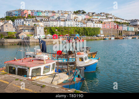 Anzeigen von Brixham Stadt über den Hafen und die Bucht, Devon, Großbritannien Stockfoto