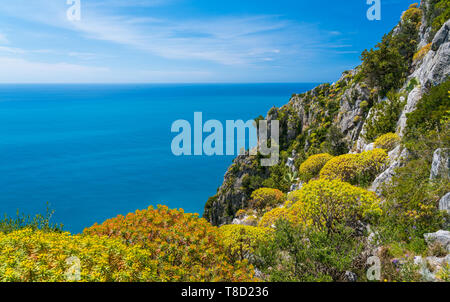 Malerischen mediterranen Seenlandschaft mit Klippen in Palinuro, Cilento, Kampanien, Süditalien. Stockfoto