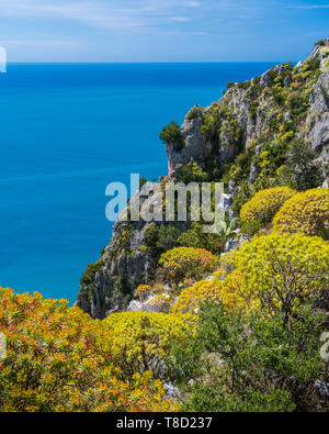 Malerischen mediterranen Seenlandschaft mit Klippen in Palinuro, Cilento, Kampanien, Süditalien. Stockfoto