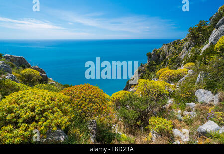 Malerischen mediterranen Seenlandschaft mit Klippen in Palinuro, Cilento, Kampanien, Süditalien. Stockfoto