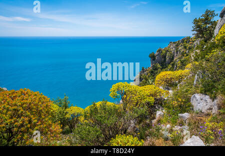 Malerischen mediterranen Seenlandschaft mit Klippen in Palinuro, Cilento, Kampanien, Süditalien. Stockfoto