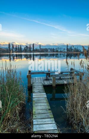 Frankreich, Savoyen, Les Marches, See Saint AndrÚ im Herzen der Combe de Savoie Weinberge, Belledonne mit Schnee im Hintergrund Stockfoto