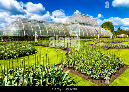 Palmenhaus in Kew Gardens, London, UK Stockfoto