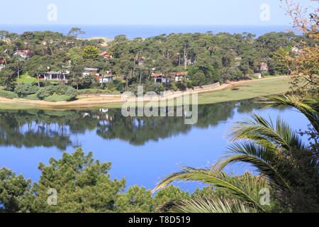 Frankreich, Landes, See, Hossegor Soorts Hossegor, marine See mit einem Pinienwald und an der Unterseite des Atlantischen Ozeans Stockfoto