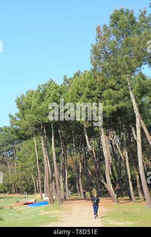 Frankreich, Landes, See, Hossegor Soorts Hossegor, Jog unter den Pinien am Rand des Sees Stockfoto