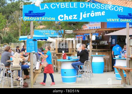 Frankreich, Landes, See, Hossegor Soorts Hossegor, Chez Jerome/Cybele Hossegor Verkostung Hossegor Austern direkt aus der Austernzüchter Jerome Labeguerie Stockfoto